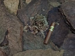 Tabacos de Holguín 10